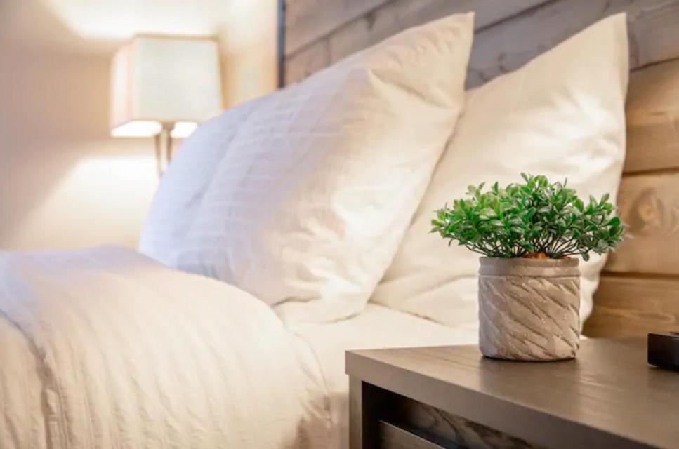 تامبا Modern Westshore Apartment المظهر الخارجي الصورة