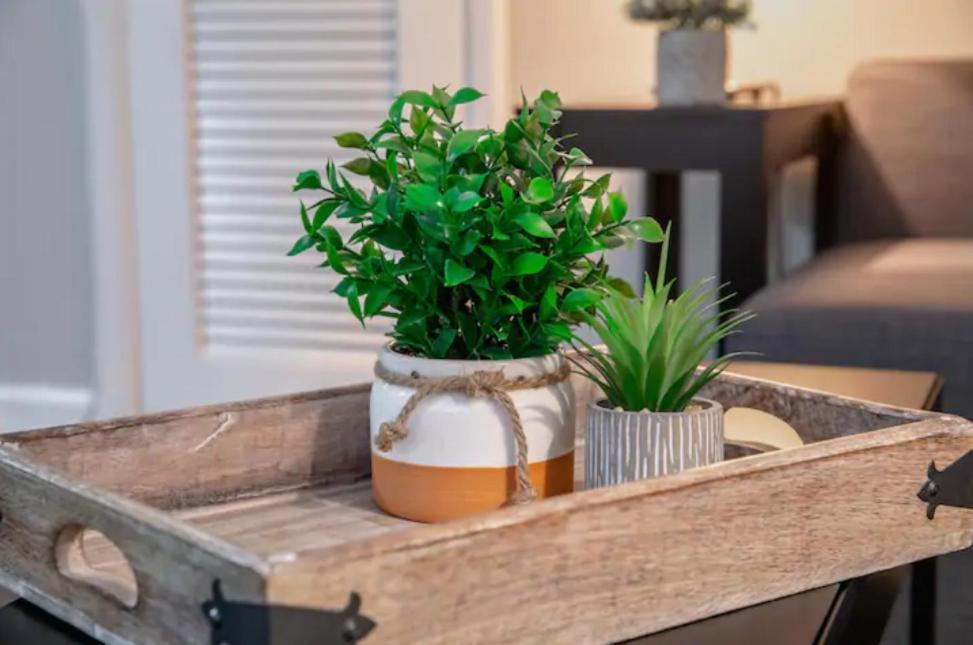 تامبا Modern Westshore Apartment المظهر الخارجي الصورة