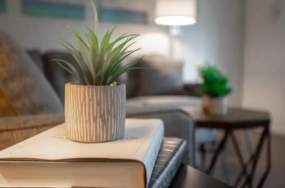 تامبا Modern Westshore Apartment المظهر الخارجي الصورة